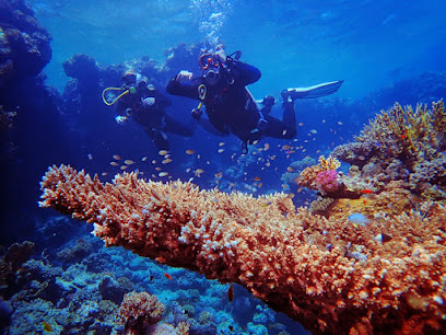 Egypt dream divers