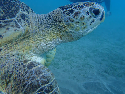 Seaworld diving center Marsa Alam