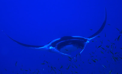Blue Submarine Diving Centre Marsa Alam