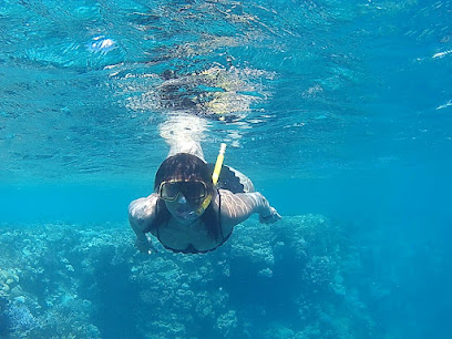 ORCA Dive Club Moreen Beach