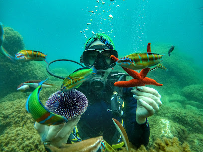Diving Maroc Octopus Club