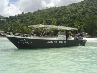 Whitetip Divers