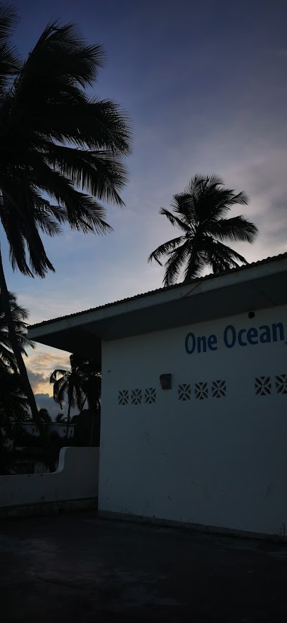 One Ocean Dive Centre - Matemwe