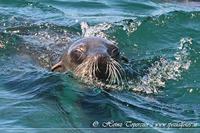 Langebaan Divers