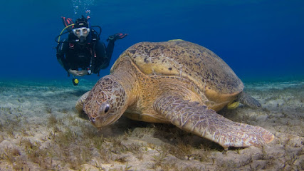 Nautilus Red Sea