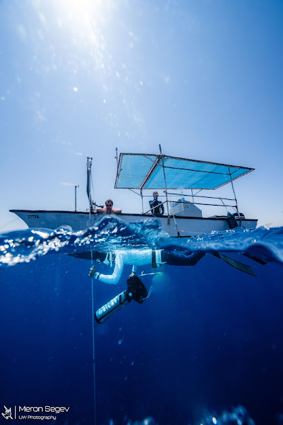 צלילה חופשית אילת - Freedive Eilat