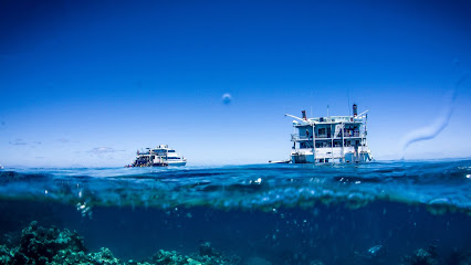 Reef Encounter
