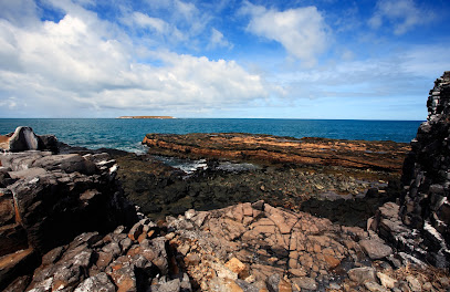 Abrolhos Island Charters