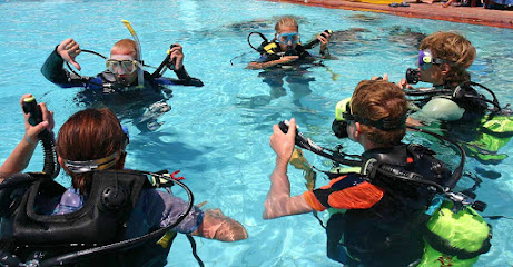 Lady of the Sea Diving Academy