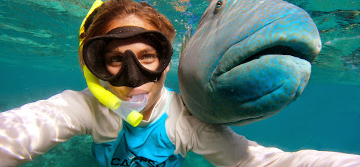 Calypso Reef Cruises