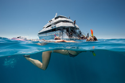 Down Under Cruise and Dive