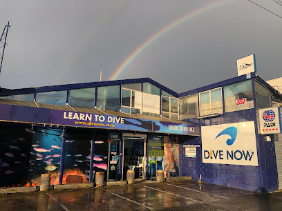 Dive Now