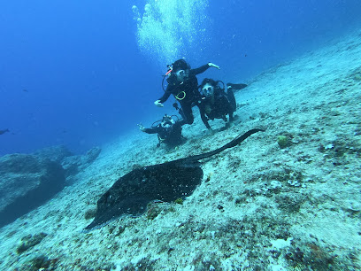 Wanderers(旧S2 CLUB GUAM) ダイビング