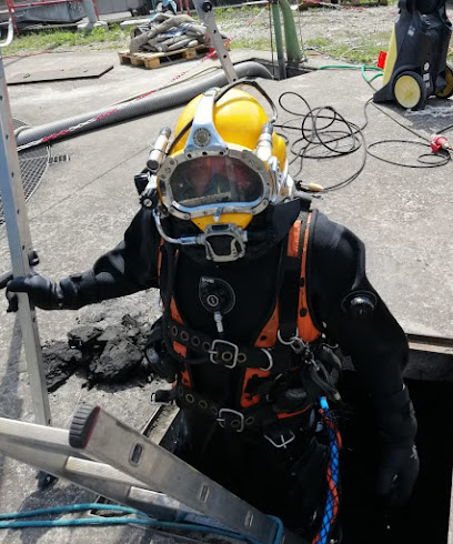 Professional Diving