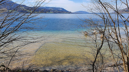 Tauchschule Scuba Consult