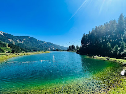 Grüblsee Alpenaquarium