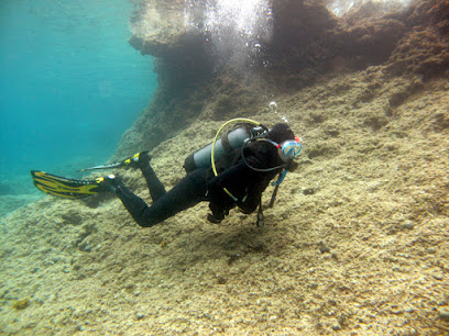 Tauchschule Stingray Divers