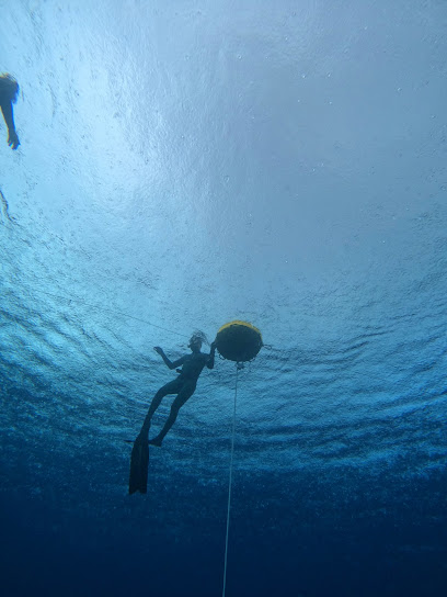 FREEDIVE TIROL