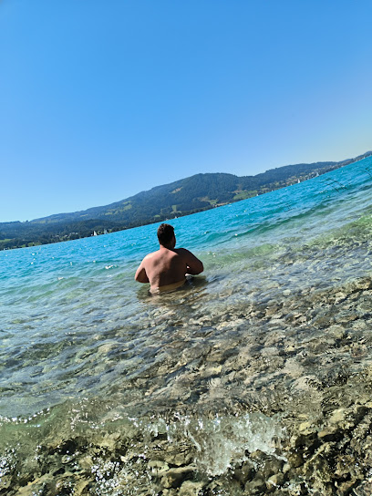 Attersee - Taucheinstiegstelle Ofen