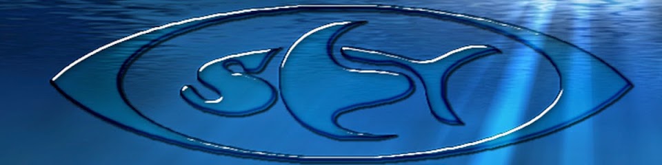 Internationale SET Ausbildung - Schwimmen, Erste Hilfe, Tauchen, - Mermaid Tirol