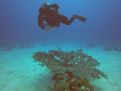 Diving.Bg Diving Center