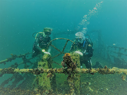 Sub Diving