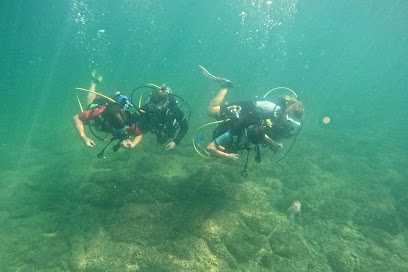 SUBAQUATIC DIVING CENTER (NOT PARASAILING AND RENT A BOAT COMPANY)