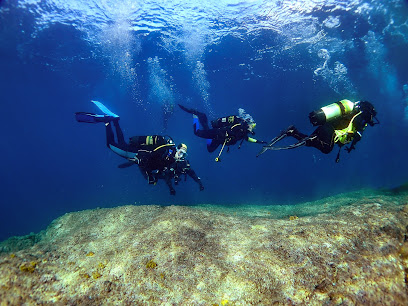 Diving Center Hippocampus
