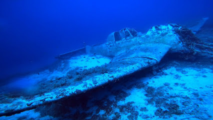 Vodice Dive