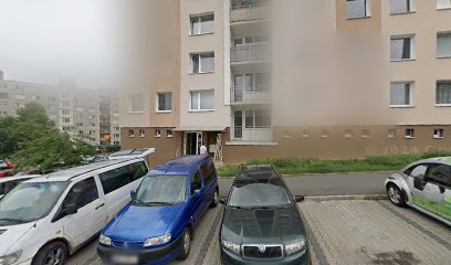 Aktiv Plzeň