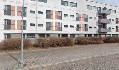 Sampo Dive
