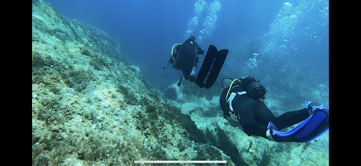 Tizzano Diving - Diving Center