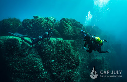 Cape July | Diving Sous-Marine & Apnée