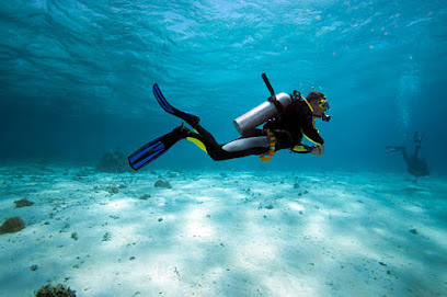 Poisson Pilote