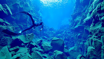 Into the Blue freediving