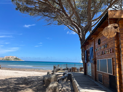 Diving Calvi A Piaghja