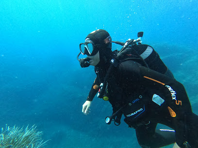 UP2DIVE by UPSCALE EXPERIENCE