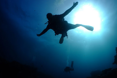 The Dive Base