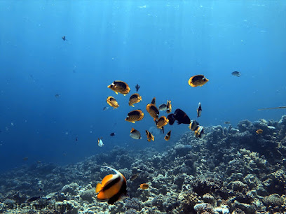 Planet Diving - PADI / PADI TekRek / SSI / PDA Divecenter