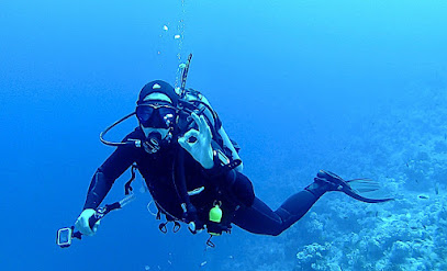 blue bubble diving