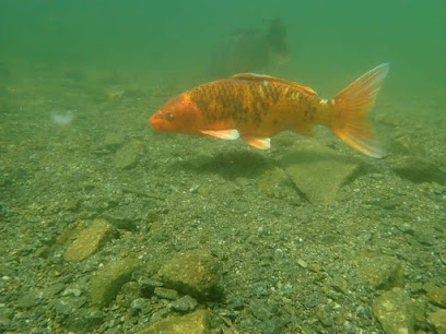 Diving paradise Saxony - Inh Uwe Seidel.