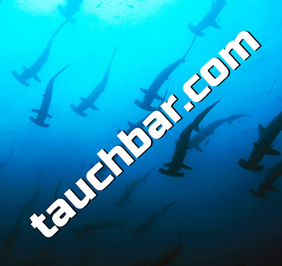 Tauchbar