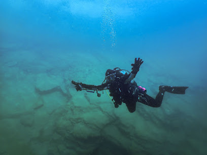 Tauchschule Diving.Berlin
