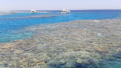 Free Dive Padi Divecenter