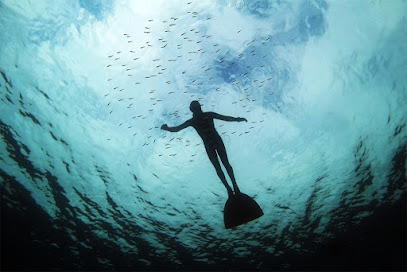 FREEDIVING NRW | APNEA-COLLEGE