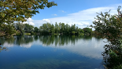 Haussee Tauchschule Ozeanic Worms