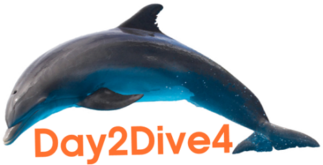 day2dive4