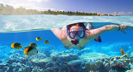 Speedy´s Schwimm und Tauchschule