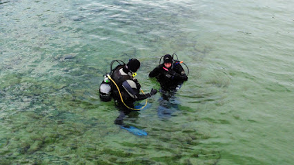PADI Tauchschule Wissen / Sieg
