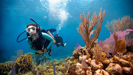 Octopus Dive Academy